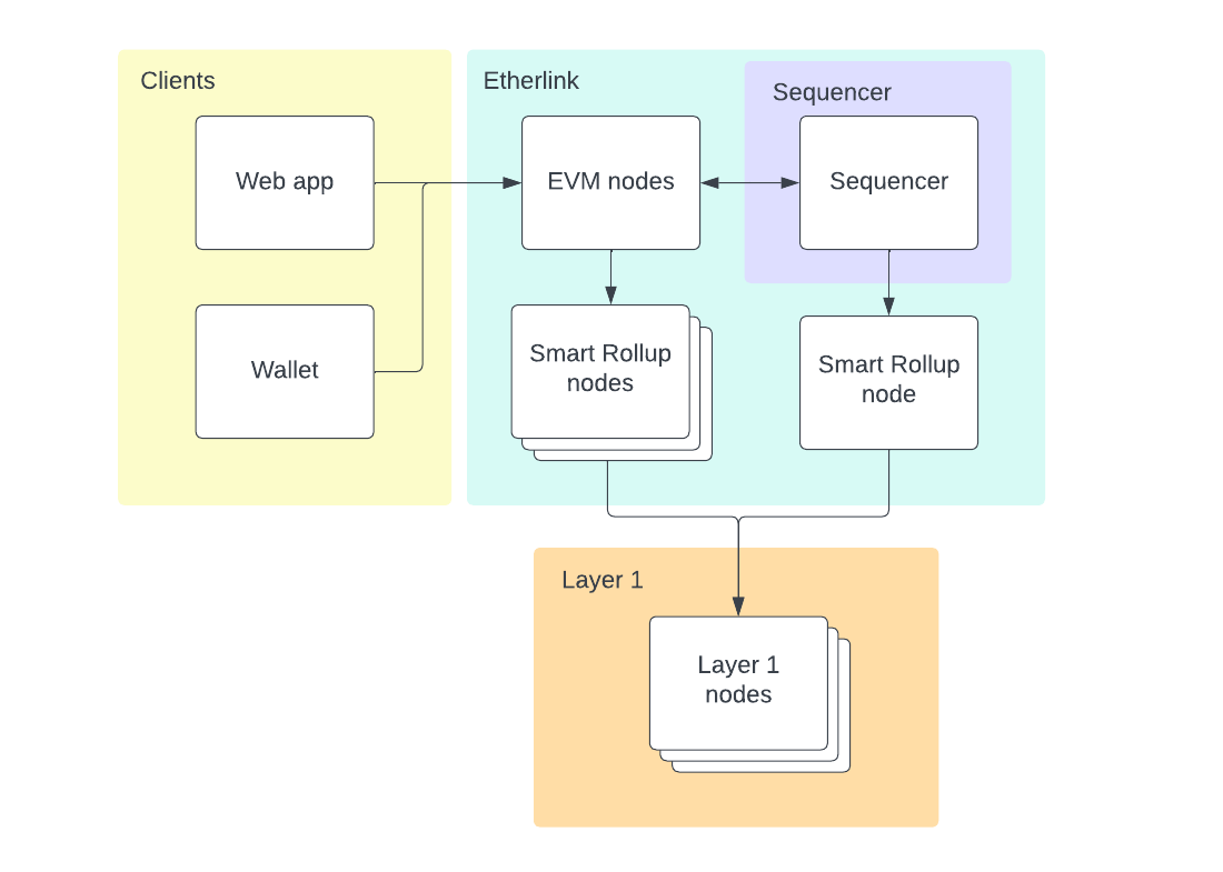 A high-level diagram of Etherlink architecture, showing the interaction between the nodes and the sequencer